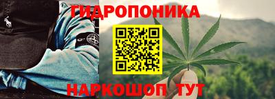 крисы Рыбинск