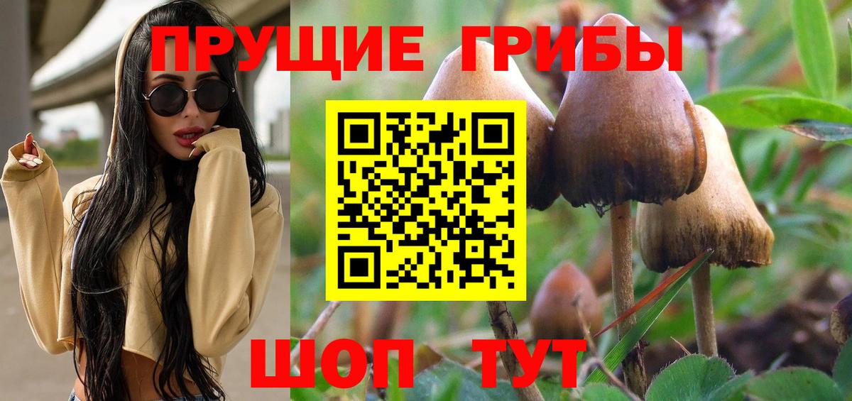Реж  Псилоцибиновые грибы мицелий  Галлюциногенные грибы GOLDEN TEACHER  даркнет сайт  Вход с VPN 