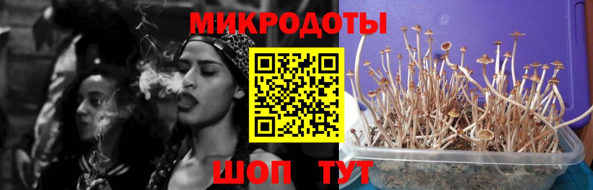 Псилоцибиновые грибы мицелий Реж